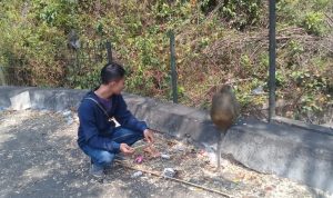 Plangon, Wisata Alam Murah Meriah