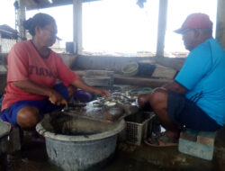 Produksi Ikan di Indramayu Menurun, Harga Ikan Asin Naik