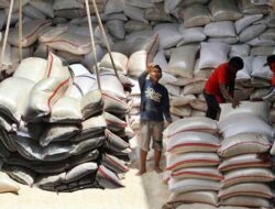 Perlu Validitas Data BPS dan Keterbukaan Informasi, Jenis Apa Yang di Impor