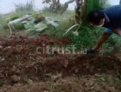 Heboh, Warga Temukan Mayat Laki-laki Tanpa Identitas di Sungai Cimanuk Majalengka
