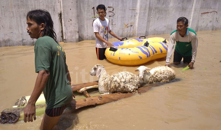 Banjir