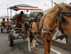 Mogok Angkutan Umum Berkah Buat Delman di Garut