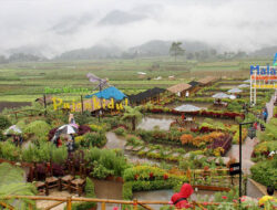 Berwisata Ke Desa Pujon Kidul Kabupaten Malang, Jawa Timur