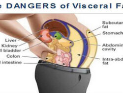 Usir Lemak Dari Tubuh Dengan 4 Cara