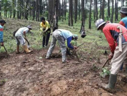 Jaga Kelestarian Alam, Bhabinkamtibmas Polsek Bantarujeg Bersama Warga Tanam Pohon