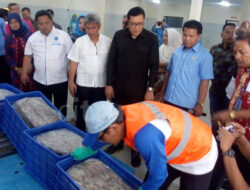 TPI Higienis Kejawanan Dorong Produksi Perikanan Kota Cirebon