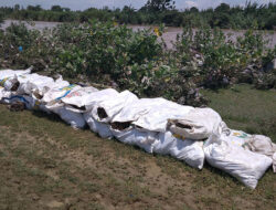 Sungai Cisanggarung Meluap Warga Tawangsari Cemas, Kecamatan Losari
