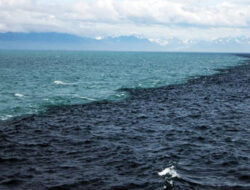 Mengapa Air di Teluk Alaska Tidak Menyatu ??