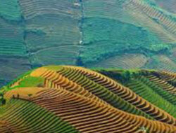 Potensi Wisata Ciayumajakuning dan Pariwisata Goes to Campus