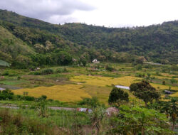 Berwisata Ke Desa Waturaka, Ende, Nusa Tenggara Timur Dengan keindahan Alamnya