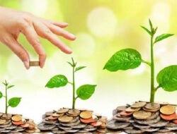 Sebelum Berinvestasi, Perhatikan Tiga Hal Ini