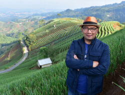 Ridwan Kamil: Terasering Panyaweuyan Mirip Bukit Teletubbies!