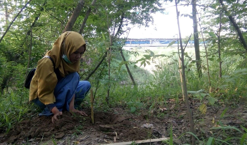 Cisanggarung