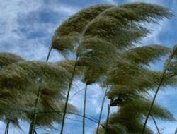 Angin Kencang Terjang Majalengka, Ini Penjelasan BMKG Stasiun Jatiwangi