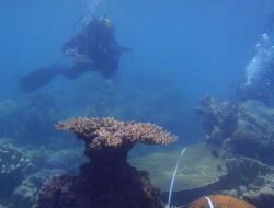 Sosialisasi Seismik 2D di Pantura Indramayu, PHE ONWJ Beri Kompensasi Alat Tangkap Nelayan yang Rusak