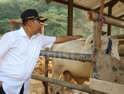 Pemda Kota Cirebon Dorong Program Padat Karya di Argasunya