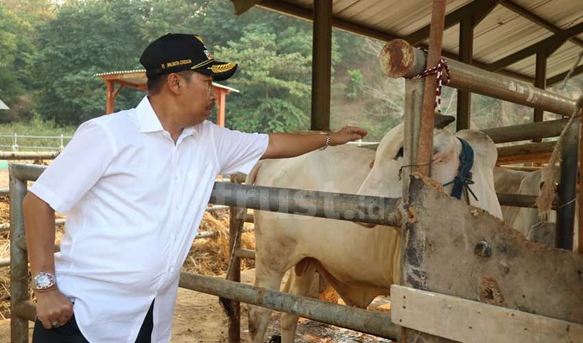 Program-Padat-Karya