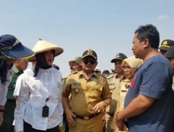 Ribuan Hektare Sawah Kekeringan, Upsus Pajale Jabar Ajak Petani Ikut Program Asuransi