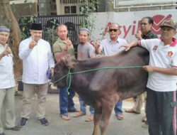 Gerindra Kota Cirebon Berkurban, Muhajidin Nur Hasim Sumbang Seekor Sapi