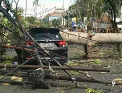 Pengendara Motor Korban Pohon Tumbang di Jalan Pemuda Meninggal Dunia