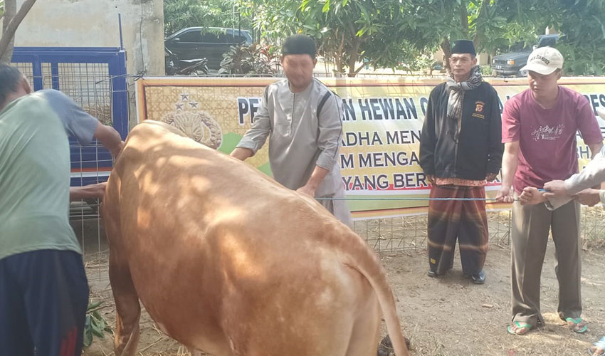 Kurban
