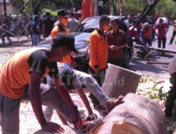 Angin Kencang Robohkan Pohon dan Tiang Reklame di Jalan Pemuda, Ini Kata BMKG