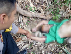 Jatuh Dari Pohon Kelapa, Seorang Petani di Majalengka Tewas