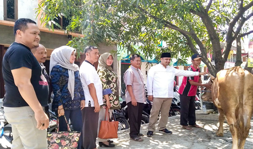 Muhajidin Nur Hasim Bagikan Sapi Kurban ke FKKC dan DPC Gerindra Kab. Cirebon