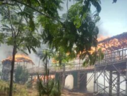 Akibat Puntung Rokok,  Objek Wisata Cadas Gantung Hangus Terbakar