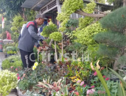 Selain Indah, Tanaman Hias Beri Penghasilan Lebih