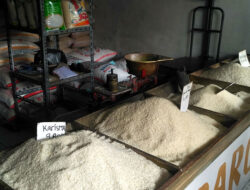 Kenaikan Harga Beras Tidak Menjadi Masalah Serius Bagi Pedagang