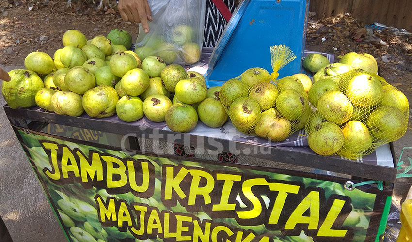 Jambu Kristal Mencegah Diabetes