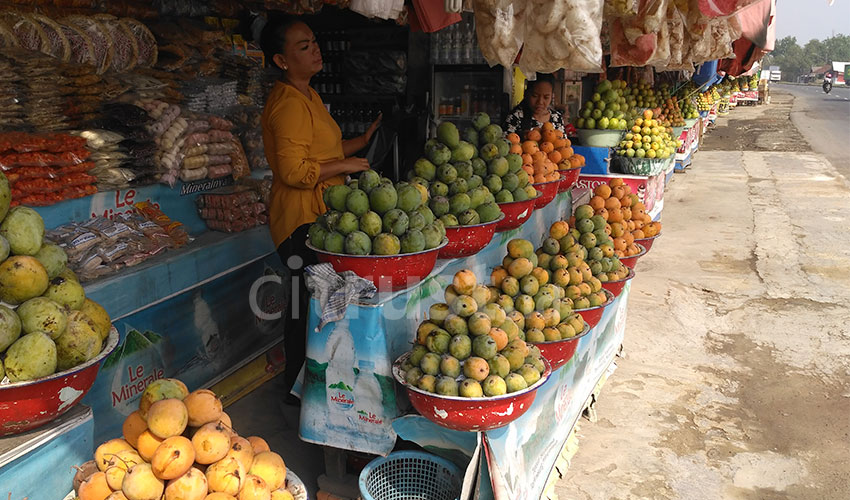 Mangga, Buah Tangan Ciri Khas di Jalur Pantura Indramayu