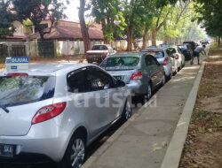Kantongi Izin Pemerintah, Sales Mobil Manfaatkan Jalan Bima untuk Berjualan