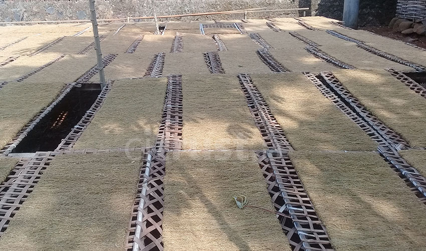 Tembakau Membawa Berkah Bagi Petani Lemahsugih