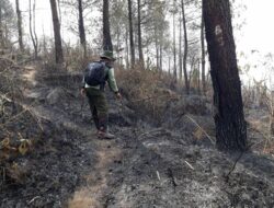 Kebakaran Gunung Ciremai Meluas ke Perbatasan Kuningan-Majalengka