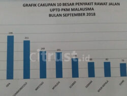 Data Puskesmas Malausma: Hipertensi dan ISPA Tempati Urutan Tertinggi