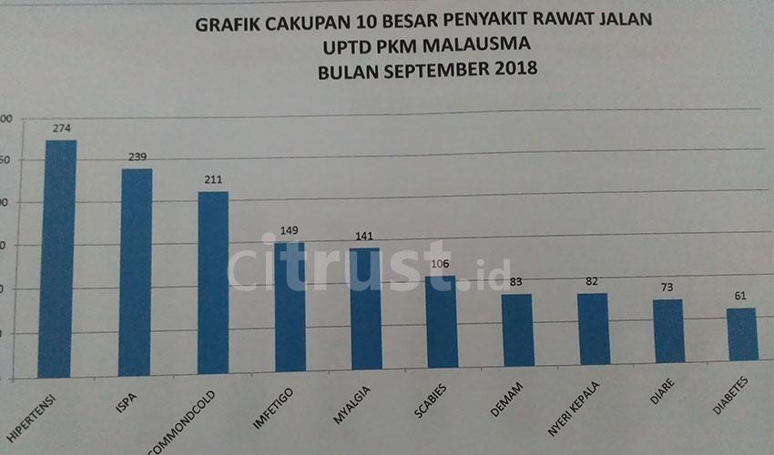 Puskesmas Malausma: Hipertensi dan Ispa Tempati Urutan Tertinggi