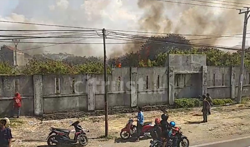 kebakaran cukup besar di lahan kosong Jalan Pilang Raya, Kedawung,
