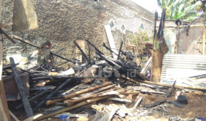 Lupa Matikan Kompor, Kandang Ayam Ludes Terbakar