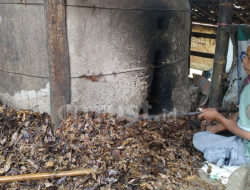 Rupiah Kian Melemah, Nasib Harga Barang Ekspor Terkatung-katung