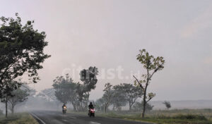 Kabut Asap Pembakaran Jerami Mengganggu Aktivitas Pengendara