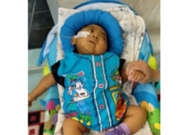 Azkhana Abdillah, Bayi Tujuh Bulan Harus Cangkok Hati