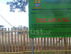 Pasang Rajeg, DLH Kota Cirebon Serius Wujudkan Program Hutan dan Paru-Paru Kota