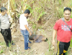 Tewas Memegangi Perut, Jenazah Tak Dikenal Gegerkan Warga Desa Palir