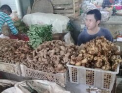 Jahe Lokal Lebih Diminati Dibanding Impor