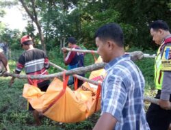 Seorang Pengamen Tewas Jatuh dari Tebing