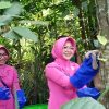 Sebanyak 65 Kukang Jawa Hasil Perdagangan Ilegal Dilepas ke Alam