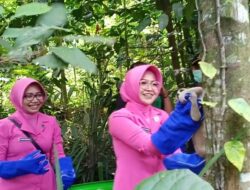 Sebanyak 65 Kukang Jawa Hasil Perdagangan Ilegal Dilepas ke Alam