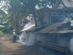 Desa Cibogo Rawan Penyakit Demam Berdarah